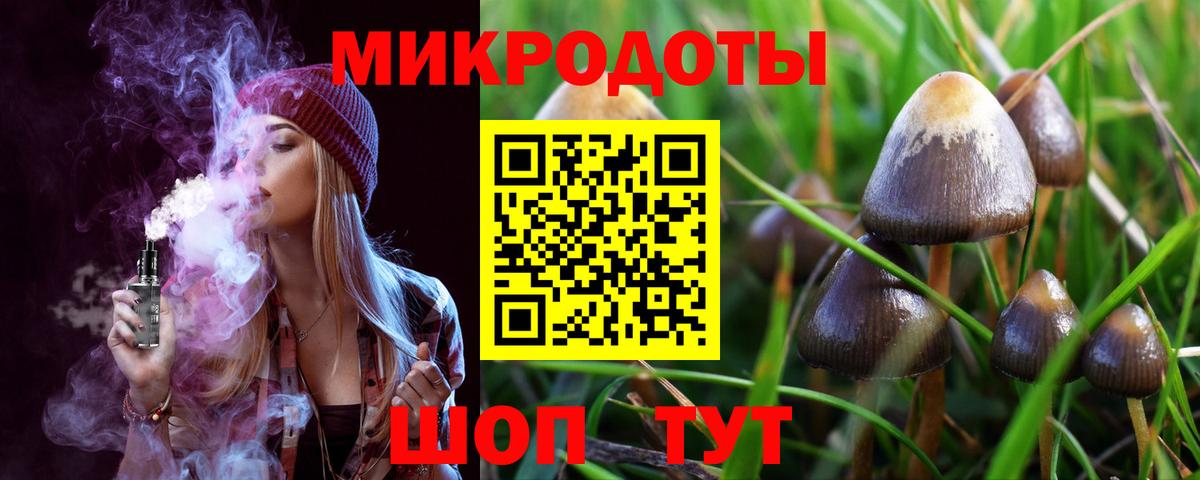 Псилоцибиновые грибы прущие грибы Красноярск