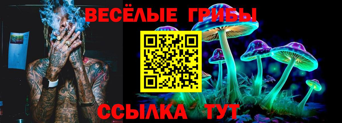 Красноярск  Галлюциногенные грибы MAGIC MUSHROOMS  Вход с VPN 